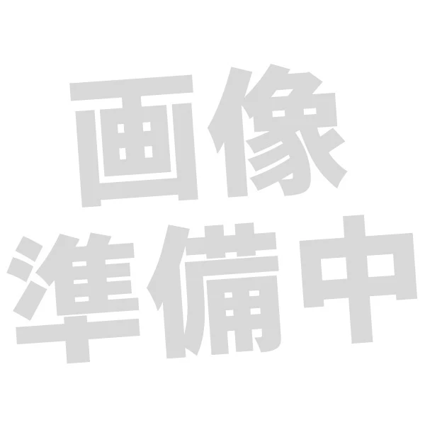 EAH-AZ100用イヤーピース - Image 4