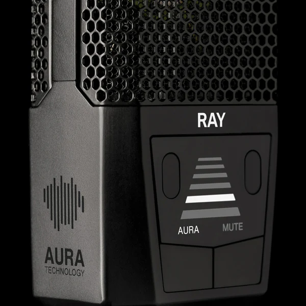 RAY - Image 9