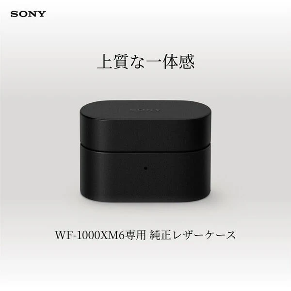WF-1000XM6専用ケースカバー - Image 10