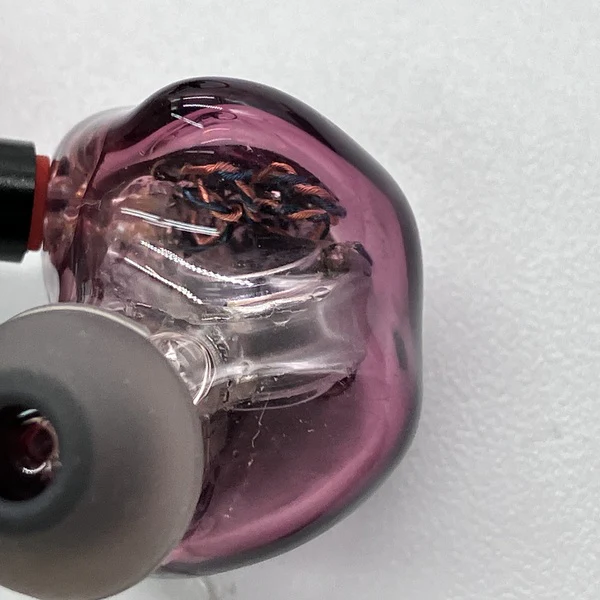 【中古】Forteza Purple【秋葉原】 - Image 5